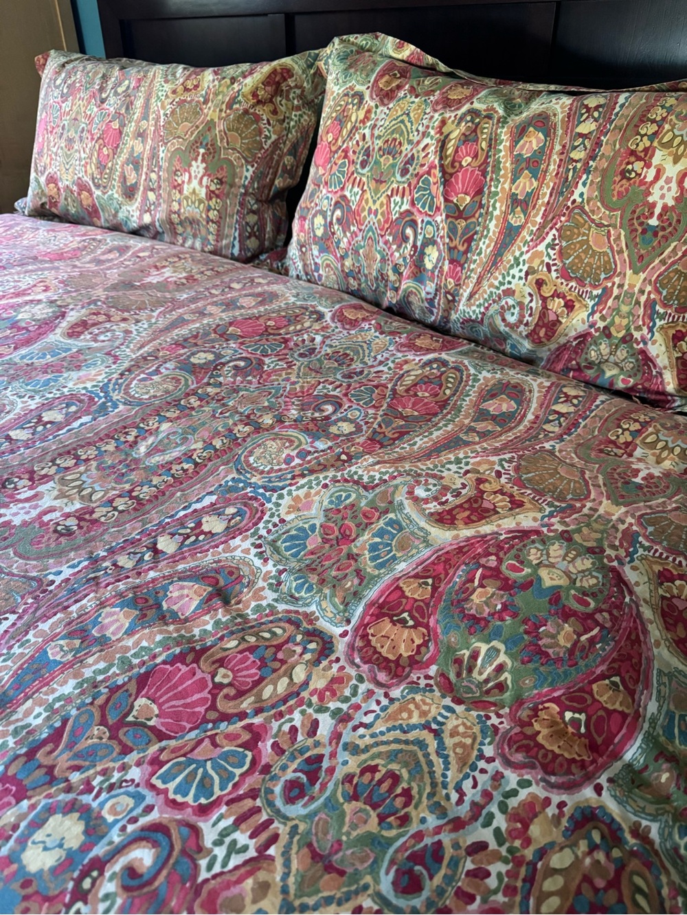 Pottery Barn King Duvet Cover Printed Paisley Cotton with 2 king sham
